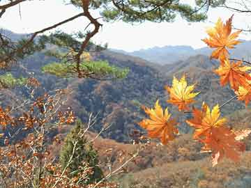 58同城招聘话务员探索职业新机遇，在58同城寻找话务员岗位